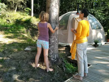 J'ai enlacé un arbre