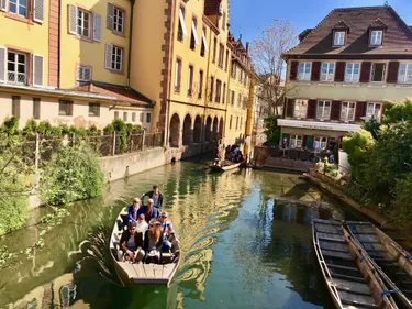 Coup de chaud sur l'Alsace