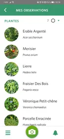 SEEK : C'est quoi cette plante ? 