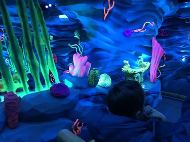 Ouverture d'une nouvelle attraction à Europa Park avec Snorri