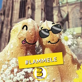 Dessine et gagne ton lammele