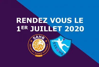 Handball : le SAHB et l'ESSAHB annoncent leur fusion
