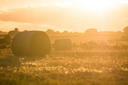 Le Bas-Rhin placé en alerte sécheresse