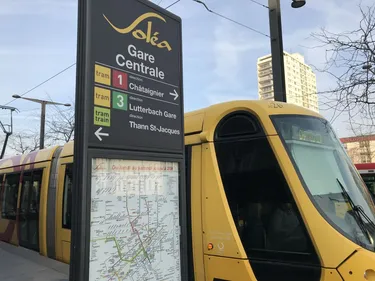 Transports en commun gratuits à Mulhouse 