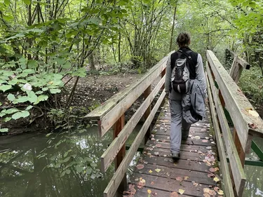 On s'est promené dans la petite Camargue alsacienne