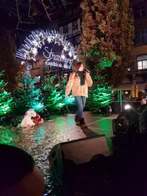 Retour en images sur la soirée des illuminations à Strasbourg
