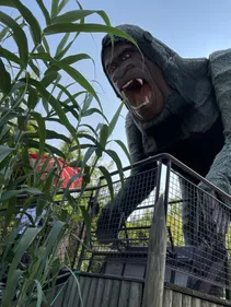 Deux parcs pour bien finir les vacances