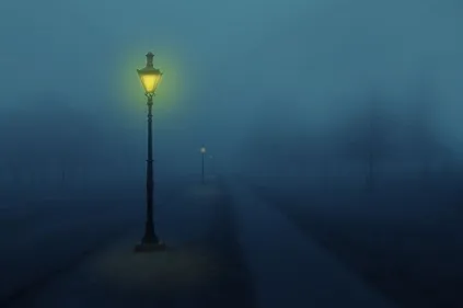 Colmar : et si on éteignait les lumières ?