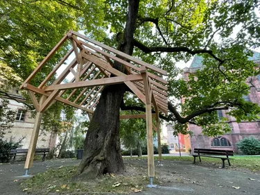 La forêt s'invite en ville pour Sélest'art