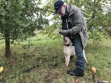 Initiation à la trufficulture à Munchhouse