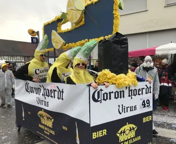 [PHOTOS] Dans la cavalcade du 70ème carnaval de Hoerdt