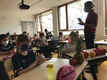 Sélestat : des artistes dans les écoles