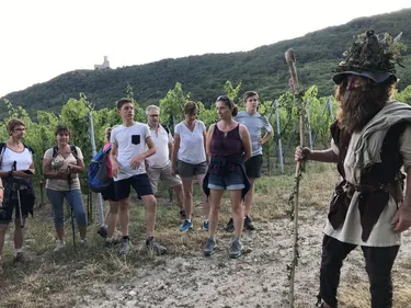 Promenade elfique au château de l'Ortenbourg