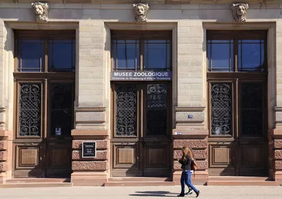 Le Musée zoologique de Strasbourg changera de visage