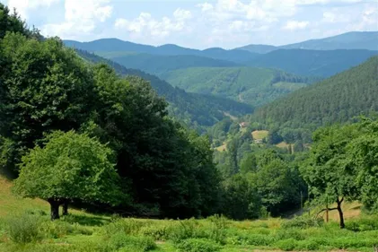 Première Col'attitude d'Alsace ce dimanche