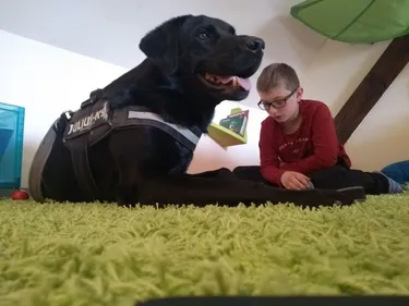 Faire la lecture au chien ou au chat, pour donner envie de lire aux...