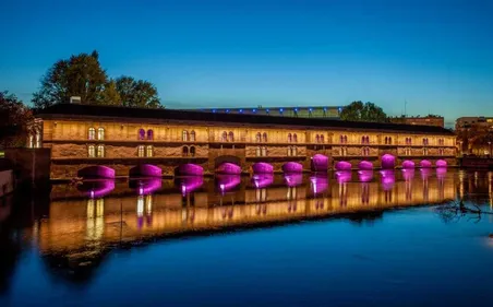 Strasbourg : des bâtiments éteints pour alerter sur la disparition...