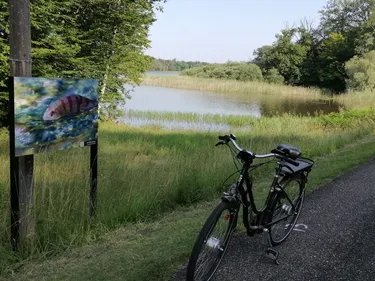 Découvrez le nouveau sentier photos de Mittersheim