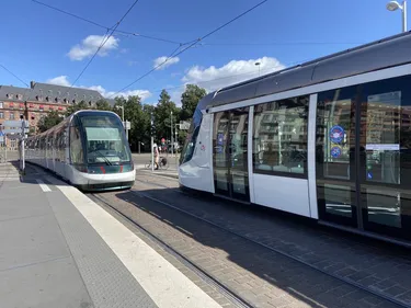 Eurométropole :  transports gratuits pour tous chaque samedi...