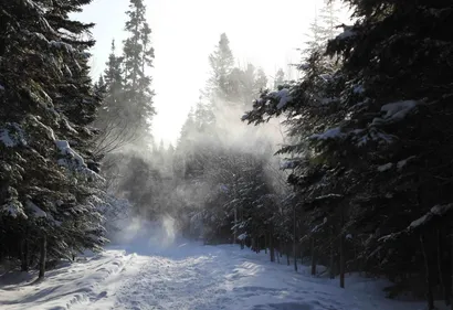 La tempête Bella traversera l'Alsace ce dimanche