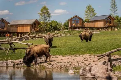 Réouverture des lodges nature au parc animalier de Sainte-Croix à...
