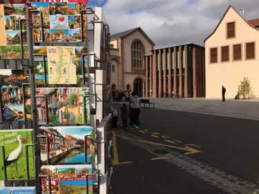 L'été à Sélestat : les premières animations