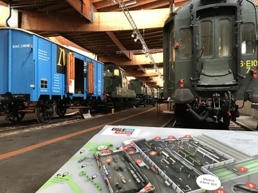 Des dizaines d'animations cet été dans les musées de Mulhouse et...