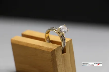 Strasbourg : appel à propriétaires