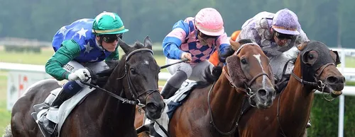 Vous cherchez une idée de sortie pour ce 1er mai ?