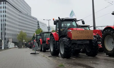 Difficultés de circulation : 1400 tracteurs ce vendredi à Strasbourg