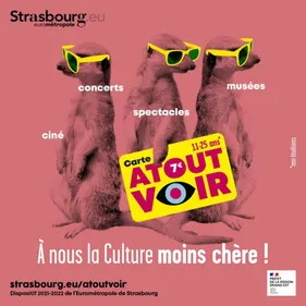 La culture à petits prix pour les 11-25 ans