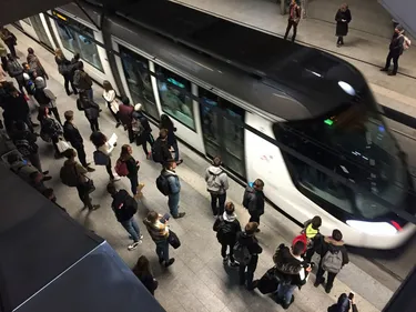 Strasbourg : dispositif spécial à la CTS le 31 décembre