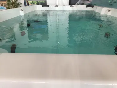 Des bulles qui rafraîchissent à la Foire aux vins de Colmar