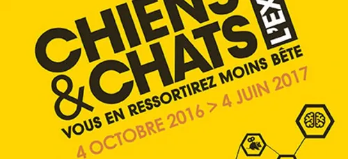 Chiens & Chats la nouvelle exposition du Muséum de Toulouse