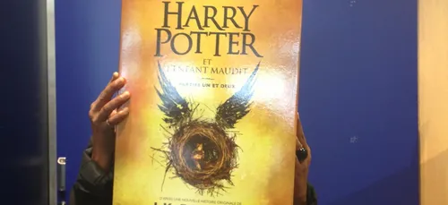 Le sorcier Harry Potter numéro 1 des ventes de livres !