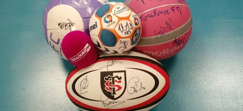 Programme des clubs toulousains : 25 & 26 novembre 2016