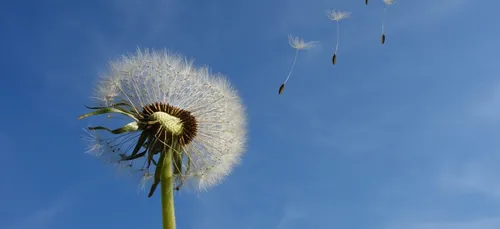 Pollution de l'air à Toulouse