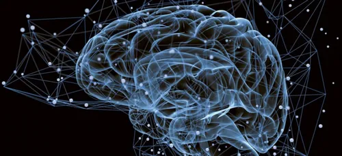 Quand le cerveau nous est conté !