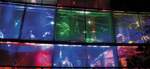 Nuit européenne des musées : le programme toulousain !