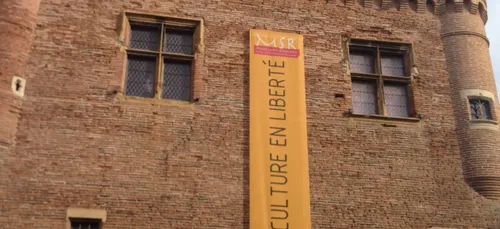 Au Musée Saint-Raymond bientôt des ??uvres du Louvre