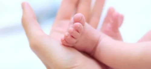 Le petit Bouchon Toulousain