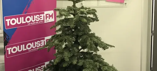 Toulouse lance sa collecte de sapins de Noël