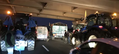 Toulouse : Manifestation des agriculteurs en colère !