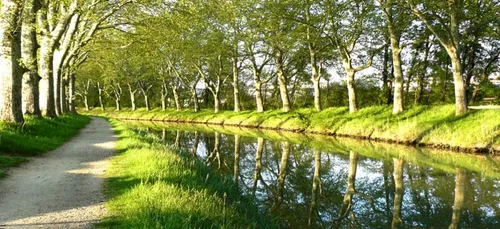 Voies Navigable de France dresse le bilan