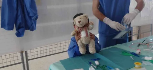 L'université Paul Sabatier accueille l'Hôpital des Nounours