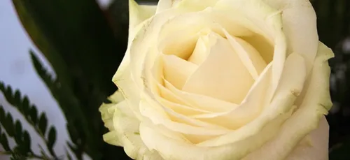 Attentats dans l'Aude : hommages aux victimes