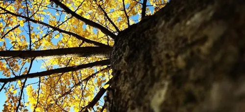 Météo : A partir du week-end du 1er mai baisse des températures