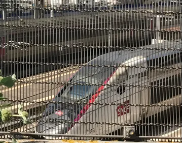 SNCF : nouvel épisode de grève en Occitanie