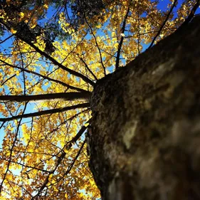 Météo : 2018 est l'année la plus chaude à Toulouse !