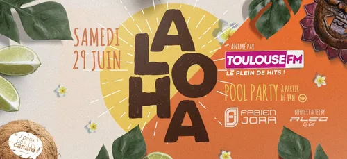 LE CANARD SUR LE TOIT